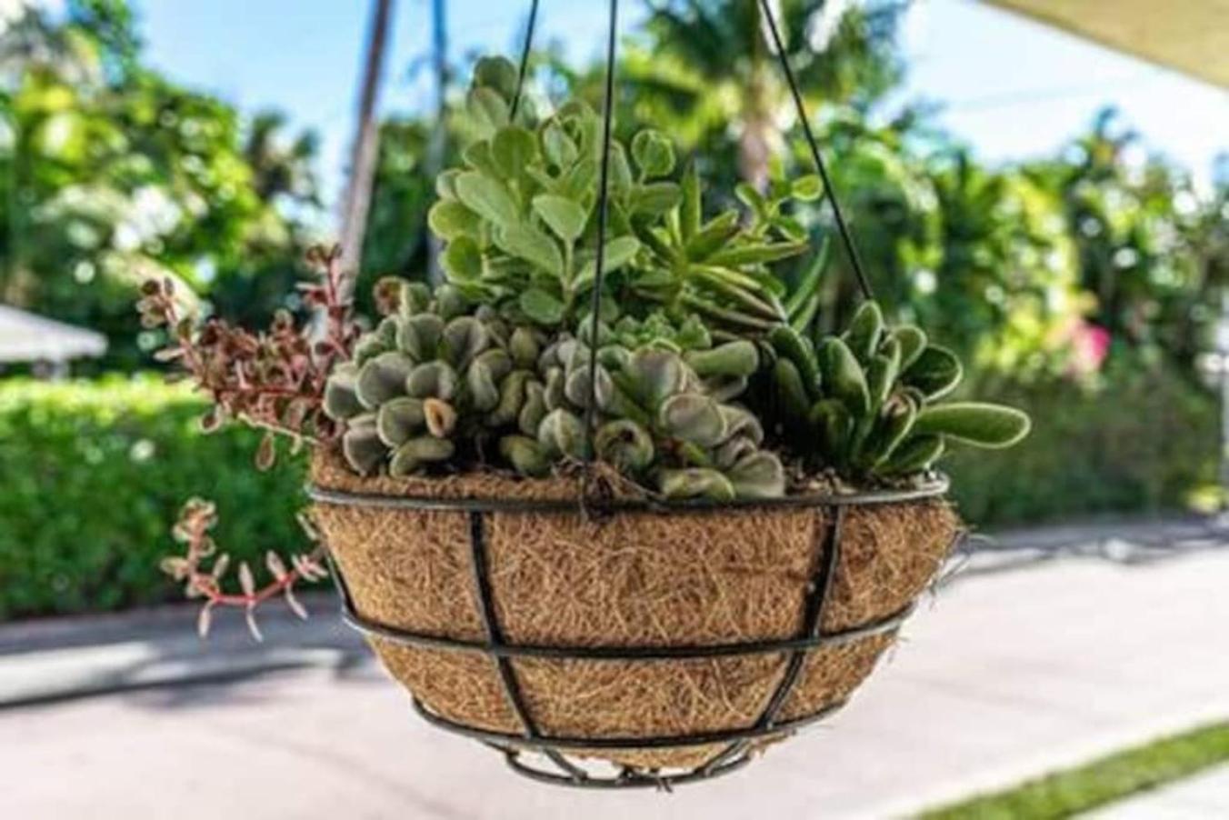 Olive Apart Unit 1 By Pmi West Palm Beach Bagian luar foto